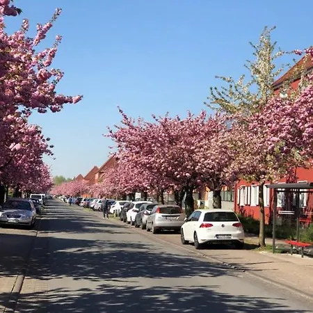 Citynahe Gemuetliche Wohnung Mit Charme Bielefeld Exterior photo